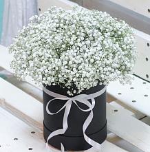 Цветочная композиция из Гипсофила в шляпной коробке #REPLACE_PRED# Рязановский